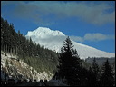 img_2850
