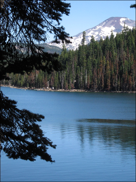 img_1741.jpg