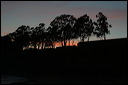 crw_2093