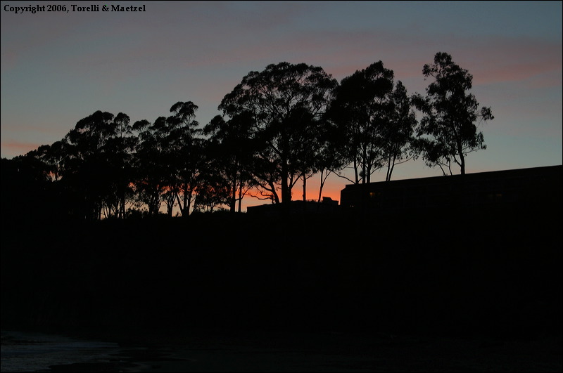 crw_2093.jpg