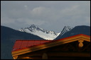 img_3019