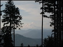 img_1658