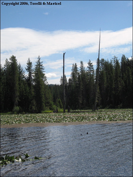 img_1854.jpg