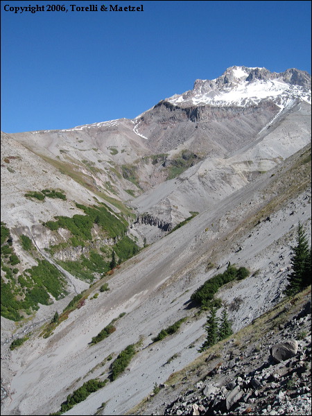 img_2410.jpg