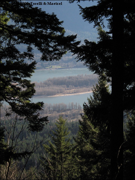 img_1114.jpg