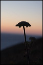 km_20070727_0027