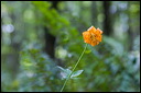 km_20070701_0010
