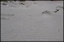 img_1255