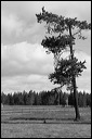 img_1420
