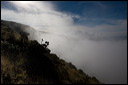 km_20070809_0047