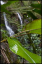 km_20070811_0077