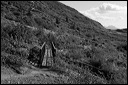km_20070907_0031-2