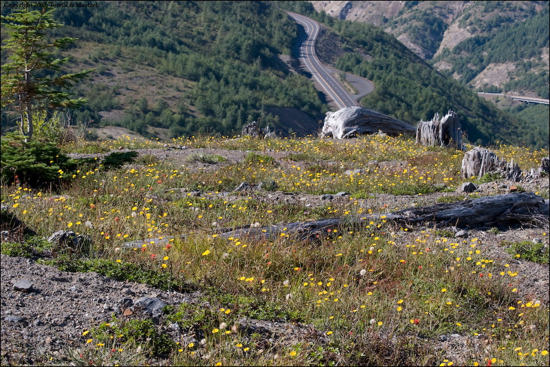km_20070907_0014.jpg