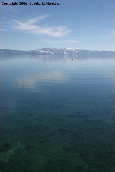 img_6866.jpg