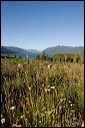 km_20070704_0033