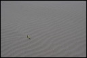 km_20070705_0016