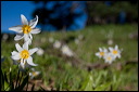 km_20070706_0028