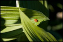 km_20070706_0066