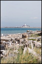 km_20070707_0057