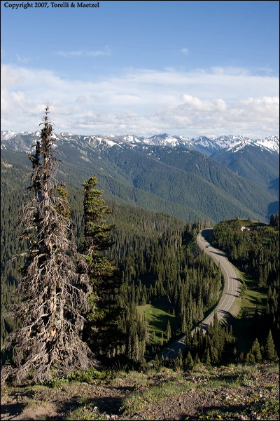 km_20070706_0026.jpg