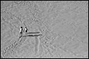 km_20070908_0046-2