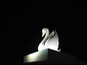 img_3611