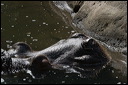 km_20070624_0149