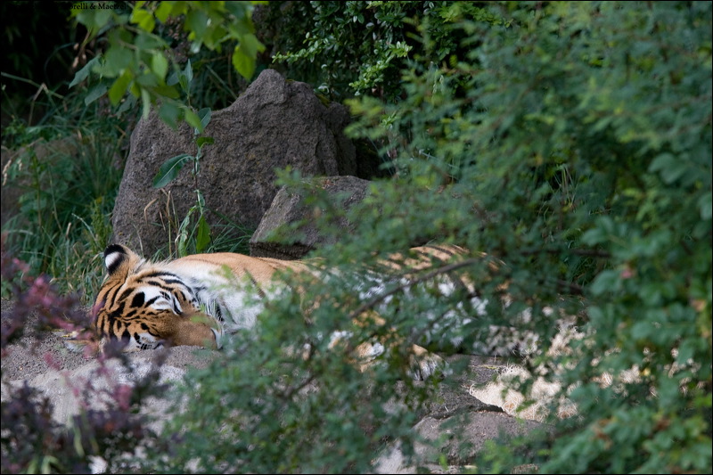 km_20070624_0168.jpg