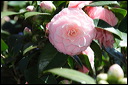 img_0725a