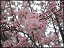 img_3298b